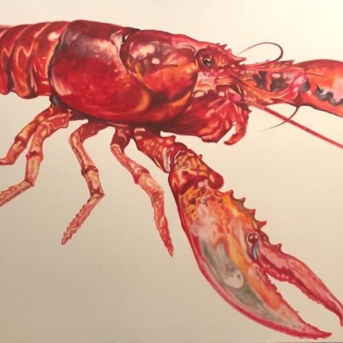 Lobstar by Adam Pete