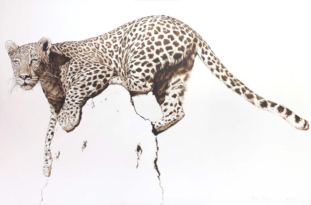 Leopard by Adam Pete