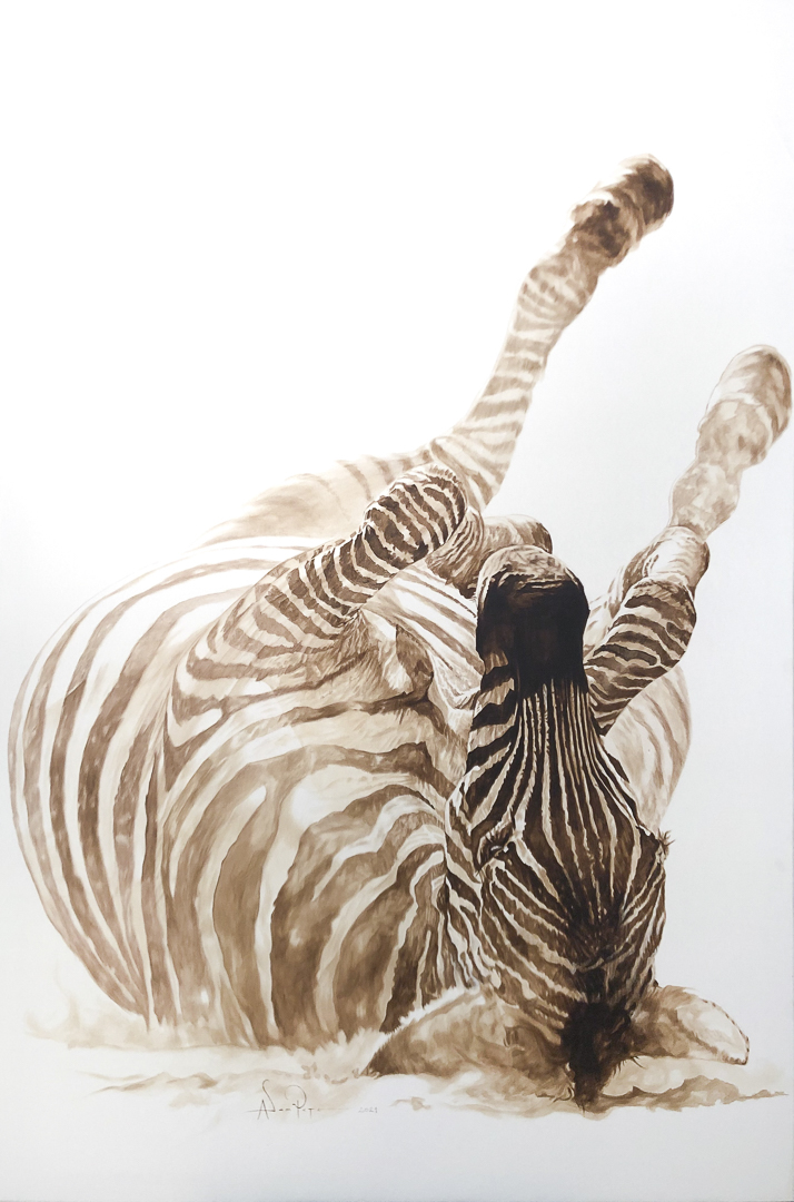 Zebra Feliz by Adam Pete
